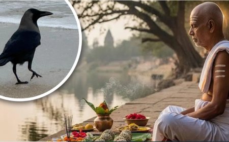 आखिर क्यों पितृ पक्ष को मानते हैं अशुभ, जब हमारे ही हैं तो क्यों करेंगे अमंगल?